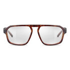 EPID 02, Havana Shiny-No Lens Reference, hi-res image number null